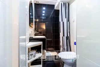 Modern 3 Rooms Apartment Floreasca - imagine 11