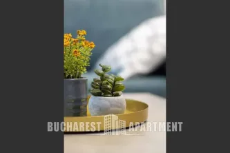 New Boutique Apartment Calea Victoriei - imagine 14