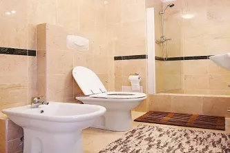 Bratianu - imagine 8