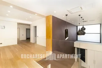 Luxury Villa for Rent Iancu Nicolae Pipera - imagine 7