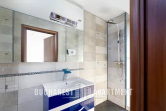 Office for Rent Herastrau - imagine 2