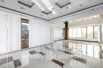 Office for Rent Herastrau - imagine 4