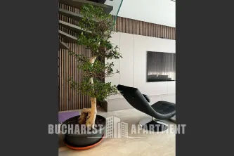 Contemporary House With a Pool in Pipera - imagine 5