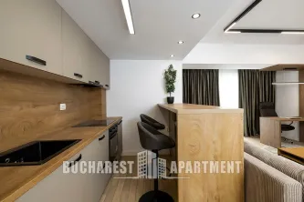 Contemporary 3 Rooms Apartment Next To Marriott Hotel - imagine 38