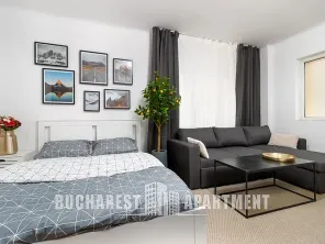 Studio Apartment Mosilor - imagine 1