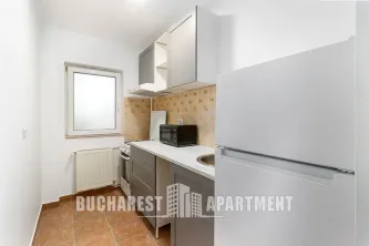 Studio Apartment Mosilor - imagine 6
