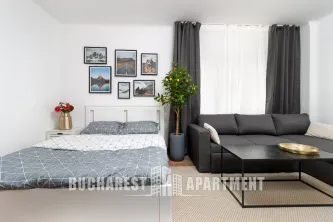Studio Apartment Mosilor - imagine 3