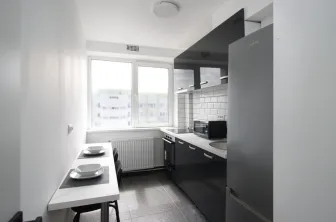 2 Rooms Apartment for Rent Unirii Area - imagine 11