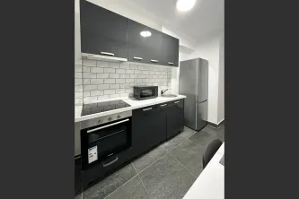 2 Rooms Apartment for Rent Unirii Area - imagine 13