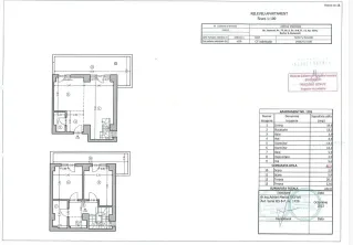 Duplex 3 Camere | Mobilat&Utilat | Zona Carol | Direct proprietar - imagine 14