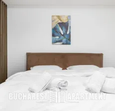 New Studio Apartment Novum Viilor - imagine 6