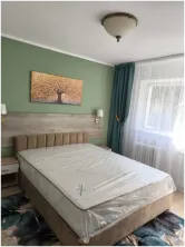 Apartment for rent in area Aviatiei - imagine 5