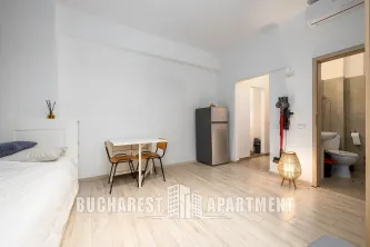 Piata Victoriei Studio Apartment - imagine 5