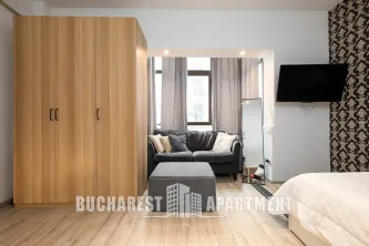 Piata Victoriei Studio Apartment - imagine 7