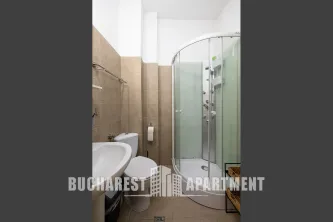 Piata Victoriei Studio Apartment - imagine 2