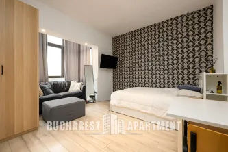 Piata Victoriei Studio Apartment - imagine 6