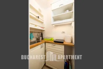 Piata Victoriei Studio Apartment - imagine 3