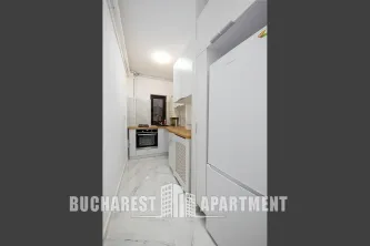 Apartment With Big Garden Baba Novac - imagine 10