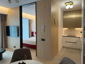 Luxury Double Studio for Rent in One Floreasca Towers - imagine 9