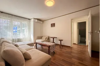 Affordable 2 Rooms Apartment Stefan Cel Mare - imagine 2