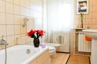 Horoscope - imagine 8