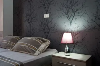 Cantemir - imagine 8