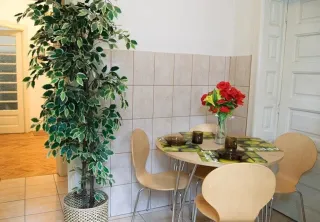 Cismigiu - imagine 5