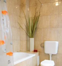 Cismigiu - imagine 8