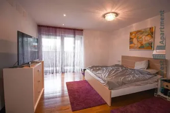 3 Camere Lux Arcul de Triumf - imagine 4