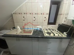 Inchiriere casa P+1 pet friendly curte comuna Cotroceni Medicina - imagine 20