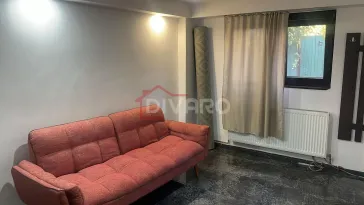 Inchiriere casa P+1 pet friendly curte comuna Cotroceni Medicina - imagine 23