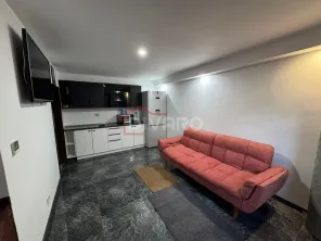 Inchiriere casa P+1 pet friendly curte comuna Cotroceni Medicina - imagine 27