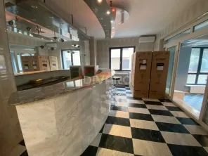 Vanzare/inchiriere vila douasprezece camere D+P+2 terasa garaj piscina Cotroceni - imagine 10