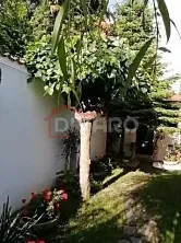 Vanzare casa renovata doua camere curte proprie foisor Cotroceni - imagine 10