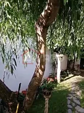 Vanzare casa renovata doua camere curte proprie foisor Cotroceni - imagine 11