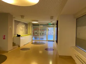 Inchiriere spatiu comercial P+1 230mp curte terasa ideal investitie Aviatorilor - imagine 12