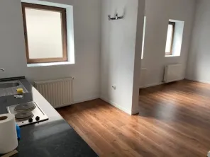 Inchiriere vila Cotroceni cu terasa constructie 1997 Elefterie - imagine 13