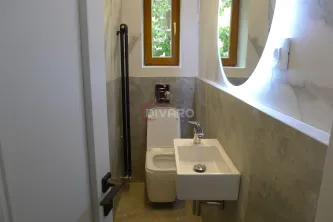 Inchiriere vila renovata D+P+1 Cotroceni metrou ideala firma - imagine 20