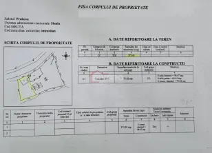 Vanzare vila renovata Sinaia strada Kogalniceanu ideala pensiune/rezidenta - imagine 30