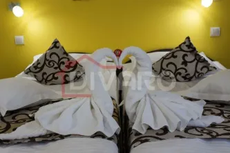 Vanzare vila renovata Sinaia strada Kogalniceanu ideala pensiune/rezidenta - imagine 17