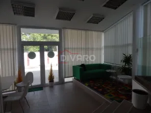 Inchiriere vila D+P+1+M ideala clinica/gradinita/birouri Turda metrou - imagine 28