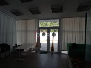 Inchiriere vila D+P+1+M ideala clinica/gradinita/birouri Turda metrou - imagine 15