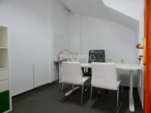 Inchiriere vila D+P+1+M ideala clinica/gradinita/birouri Turda metrou - imagine 31