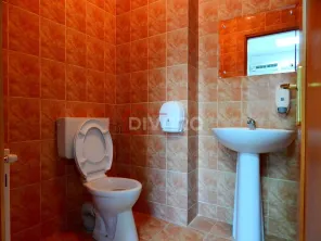Inchiriere vila D+P+1+M ideala clinica/gradinita/birouri Turda metrou - imagine 10