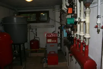 Vanzare/inchiriere vila D+P+1+M gradina garaj piscina teren 2500mp Pipera padure - imagine 29