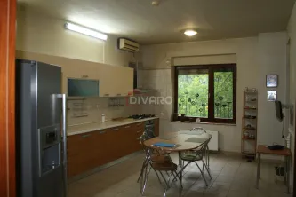 Vanzare/inchiriere vila D+P+1+M gradina garaj piscina teren 2500mp Pipera padure - imagine 13