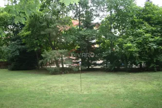 Vanzare/inchiriere vila D+P+1+M gradina garaj piscina teren 2500mp Pipera padure - imagine 9