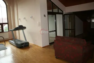 Vanzare/inchiriere vila D+P+1+M gradina garaj piscina teren 2500mp Pipera padure - imagine 21