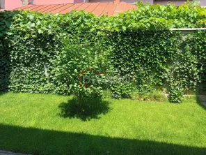 Vanzare proprietate cu doua case si intrari separate curte Giulesti - imagine 20