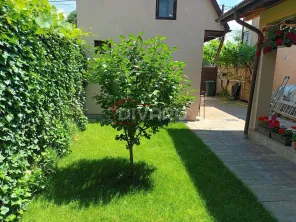 Vanzare proprietate cu doua case si intrari separate curte Giulesti - imagine 15